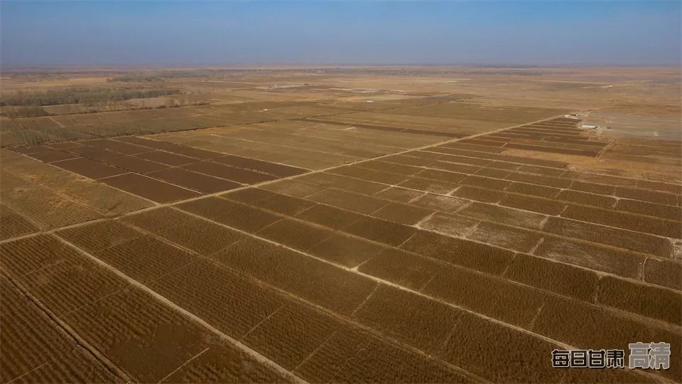 富硒的农产品加保健品(保健品富硒粮仓)-硒宝网