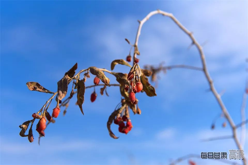 富硒的农产品加保健品(保健品富硒粮仓)-硒宝网