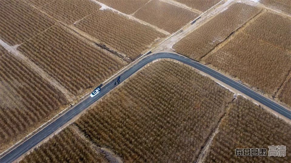 富硒的农产品加保健品(保健品富硒粮仓)-硒宝网