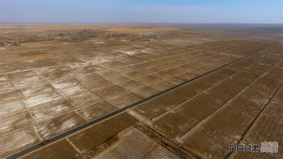 富硒的农产品加保健品(保健品富硒粮仓)-硒宝网