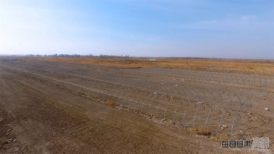 富硒的农产品加保健品(保健品富硒粮仓)-硒宝网