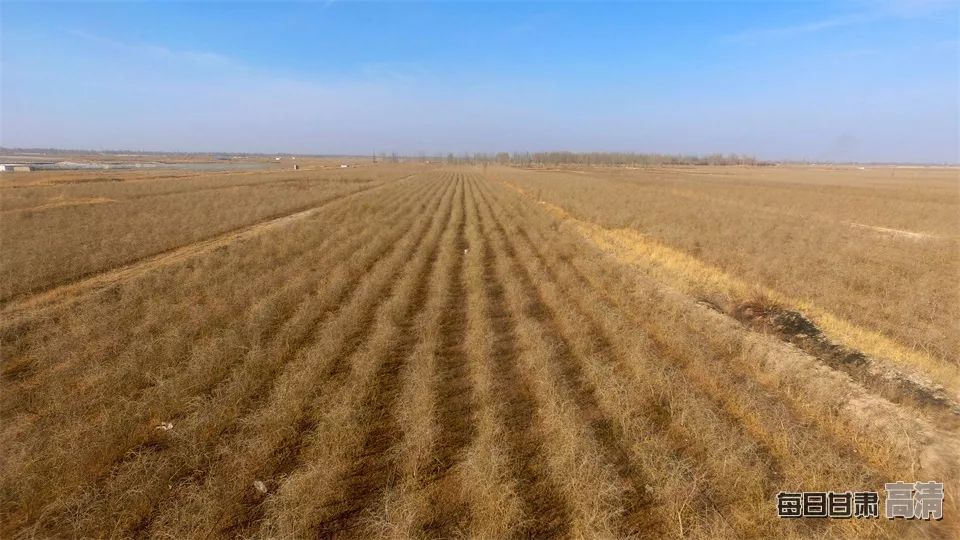 富硒的农产品加保健品(保健品富硒粮仓)-硒宝网