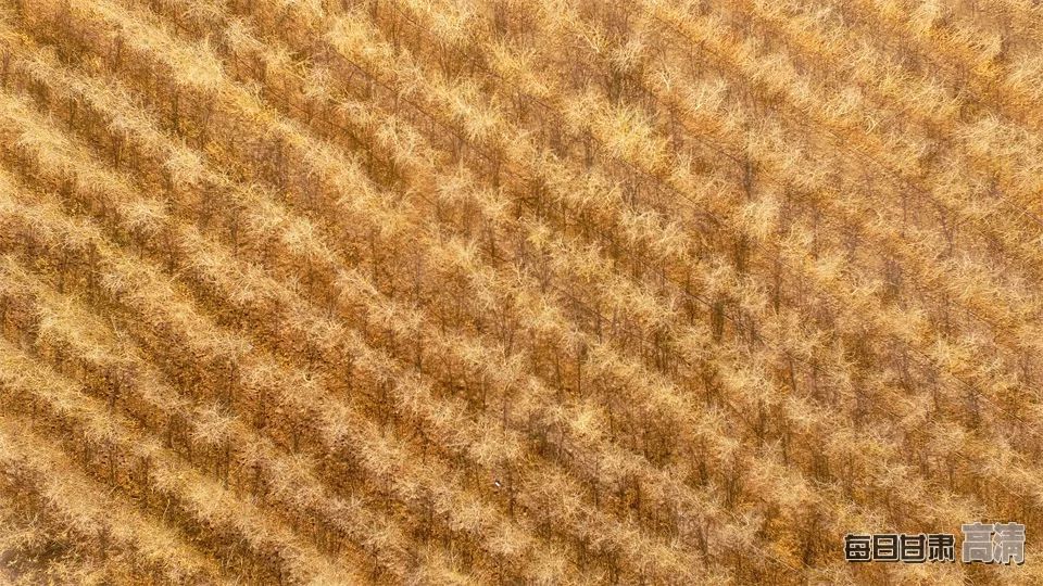 富硒的农产品加保健品(保健品富硒粮仓)-硒宝网