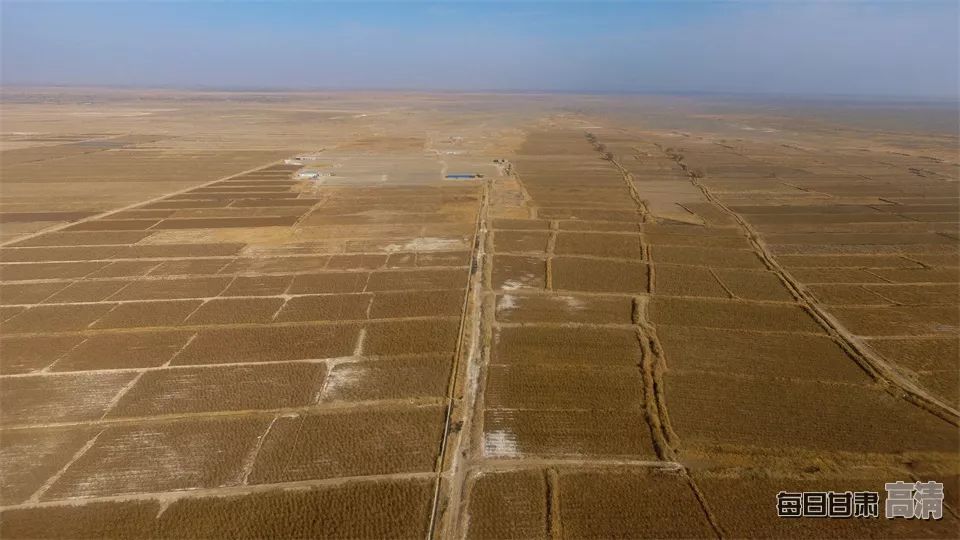 富硒的农产品加保健品(保健品富硒粮仓)-硒宝网