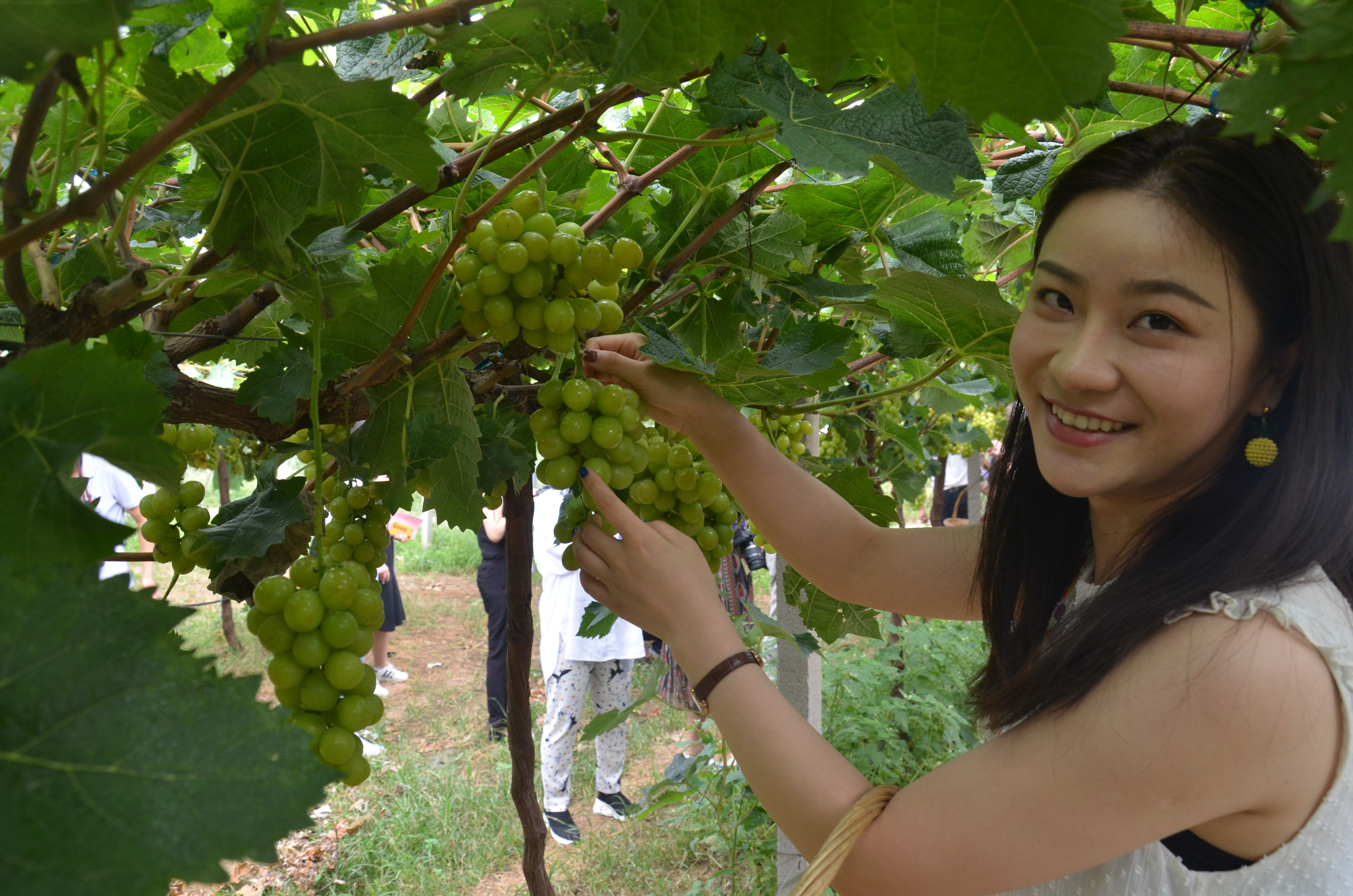 淄博市久润富硒农产品(淄川久润富硒生态园有门票吗)-硒宝网