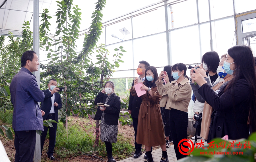 皇华富硒农产品产业园（富硒农产品产业链）-硒宝网