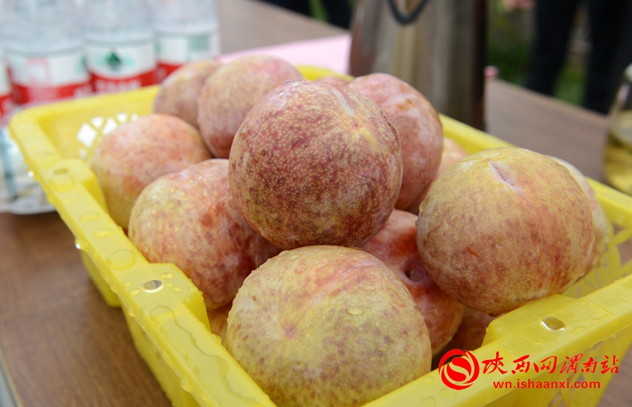 皇华富硒农产品产业园（富硒农产品产业链）-硒宝网