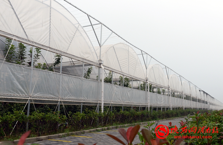 皇华富硒农产品产业园（富硒农产品产业链）-硒宝网