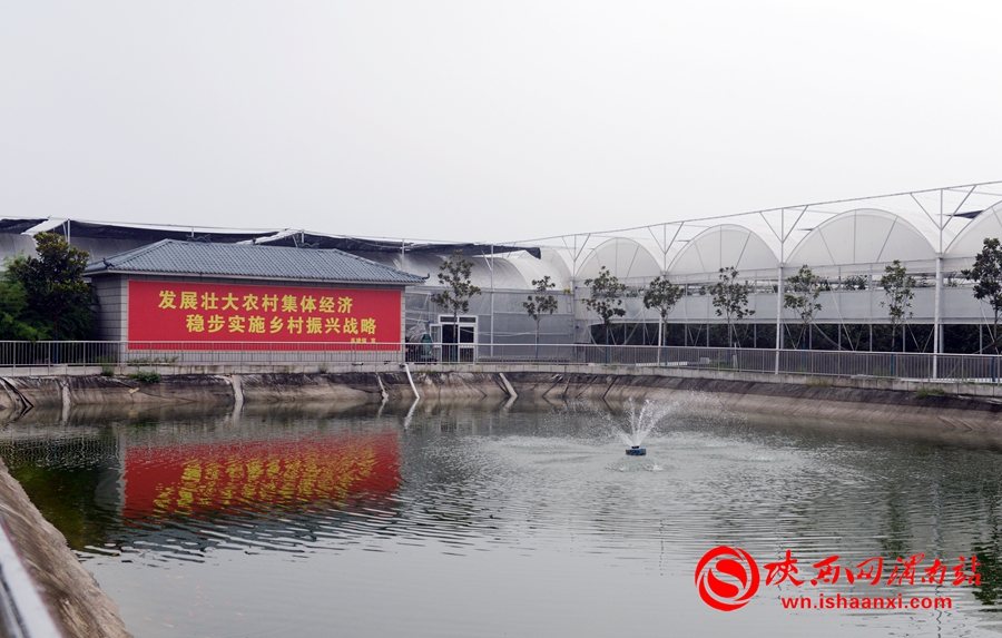 皇华富硒农产品产业园（富硒农产品产业链）-硒宝网