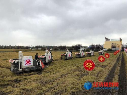 方正县是富硒农产品吗(方正县富硒米好在哪)-硒宝网