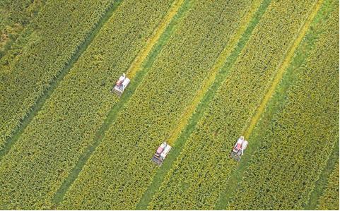 江津富硒农产品推介会(江津富硒产品有哪些)-硒宝网