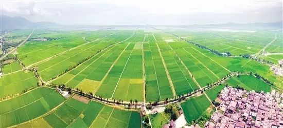 和富硒有关的产品名称(富硒产品的作用)-硒宝网