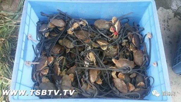 和富硒有关的产品名称(富硒产品的作用)-硒宝网