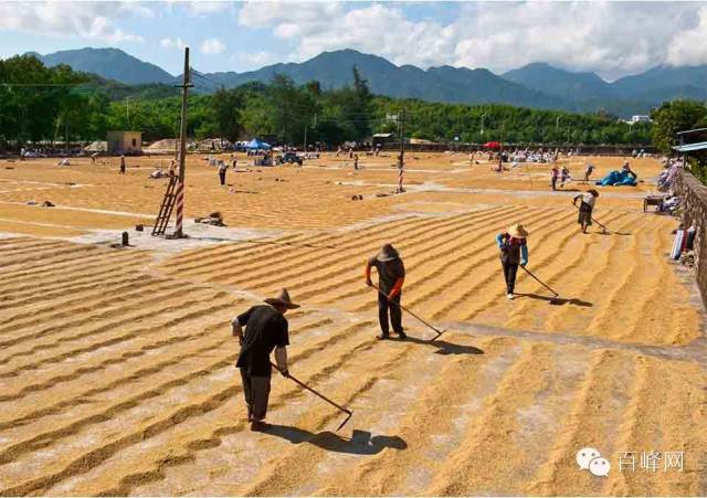 和富硒有关的产品名称(富硒产品的作用)-硒宝网