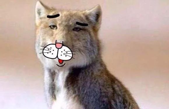 和富硒有关的产品名称(富硒产品的作用)-硒宝网