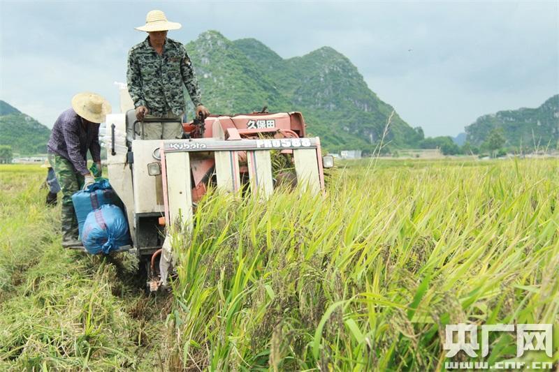 富硒农产品多少钱一盒（富硒农药的作用）-硒宝网