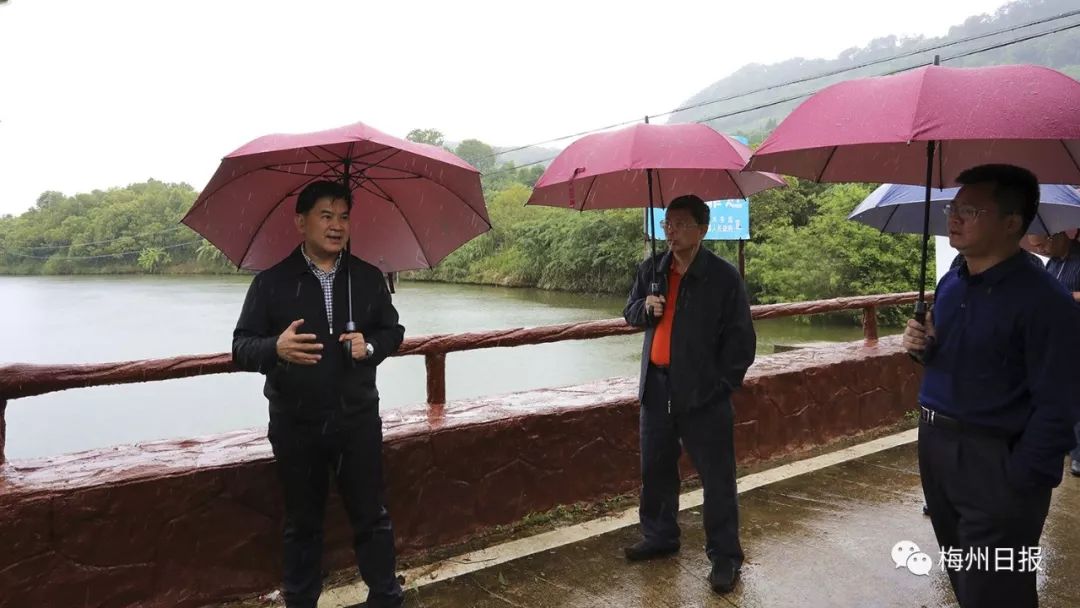 四川省富硒产品检验站(四川富硒茶分布)-硒宝网