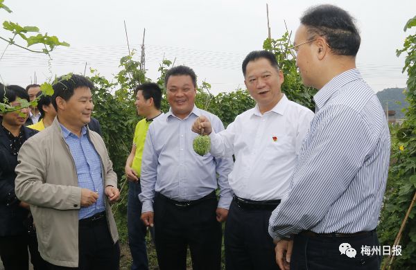 四川省富硒产品检验站(四川富硒茶分布)-硒宝网