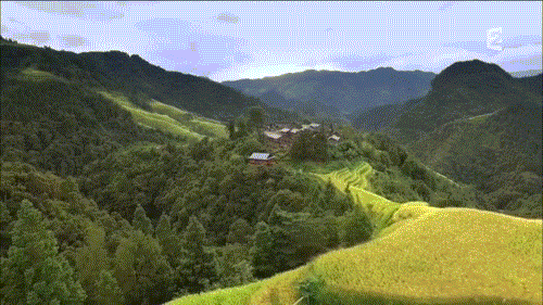 富硒茶中硒的存在形式(茶叶中硒的含量是多少)-硒宝网