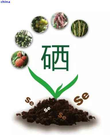 富硒茶里的硒含量高吗(含量茶富硒高里硒含量高吗)-硒宝网