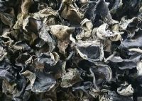 安康富硒茶有哪些品种（安康富硒茶种类）-硒宝网