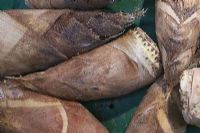 安康富硒茶有哪些品种（安康富硒茶种类）-硒宝网