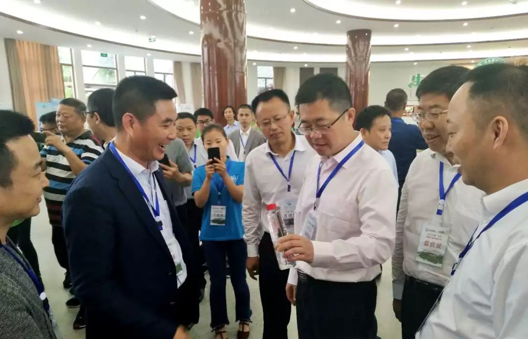 石台富硒茶优势是什么(石台富硒茶叶)-硒宝网