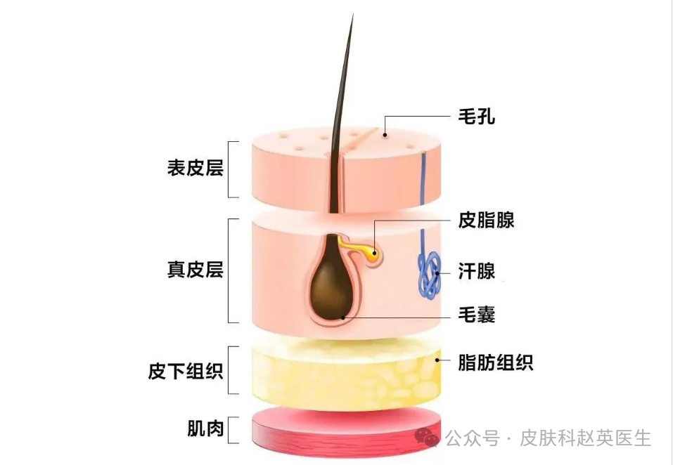 医院查微量元素挂什么科（医院查微量元素挂什么科室）-硒宝网