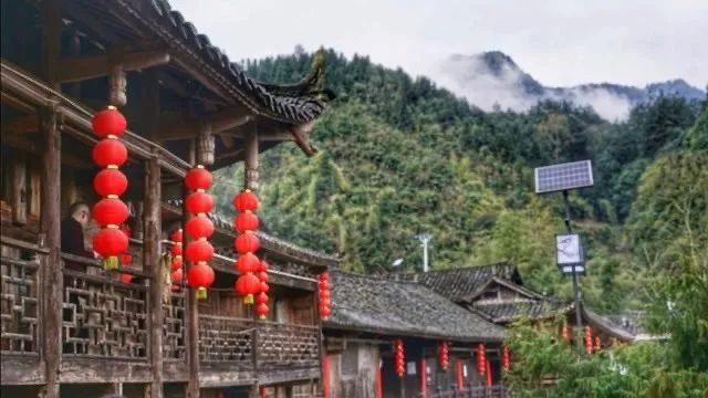 恩施好喝的富硒茶玉露(恩施玉露茶好处)-硒宝网