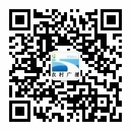 恩施好喝的富硒茶玉露(恩施玉露茶好处)-硒宝网