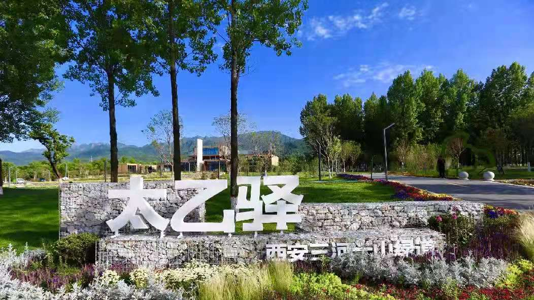 紫阳街道富硒茶年产业(紫阳富硒茶厂)-硒宝网