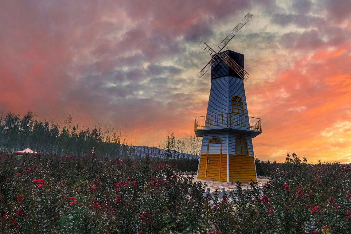 紫阳街道富硒茶年产业(紫阳富硒茶厂)-硒宝网