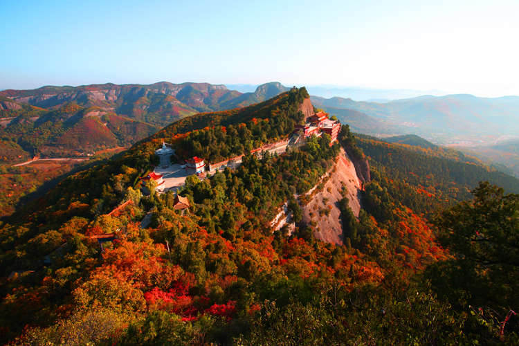 紫阳街道富硒茶年产业(紫阳富硒茶厂)-硒宝网