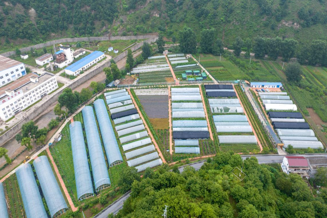 紫阳街道富硒茶年产业(紫阳富硒茶厂)-硒宝网