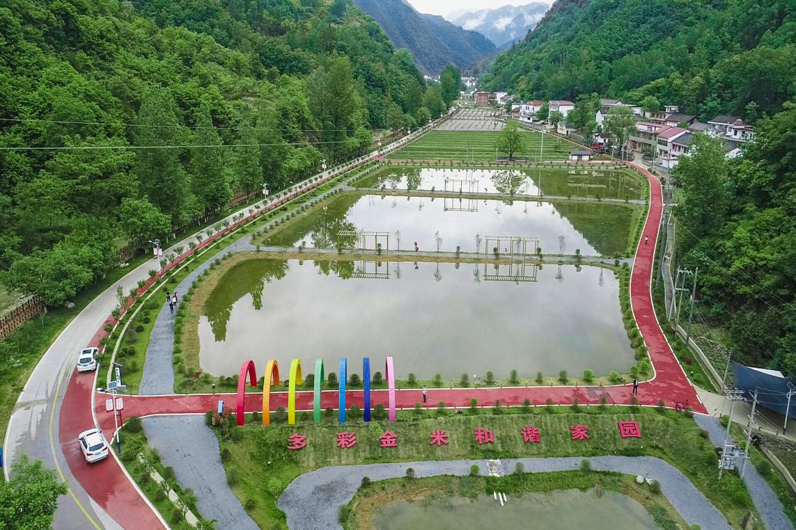 紫阳街道富硒茶年产业(紫阳富硒茶厂)-硒宝网