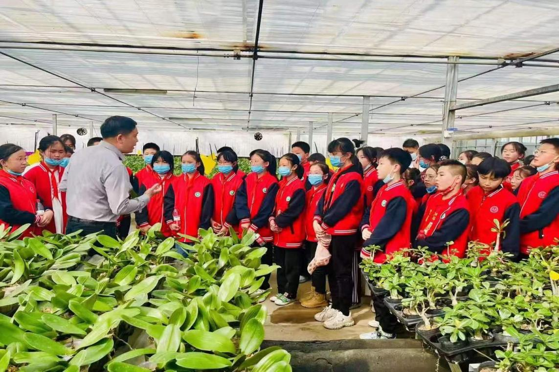 紫阳街道富硒茶年产业(紫阳富硒茶厂)-硒宝网