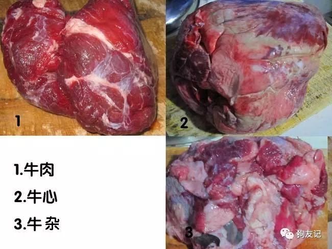 狗狗微量元素哪个牌子好(犬用微量元素品牌推荐)-硒宝网