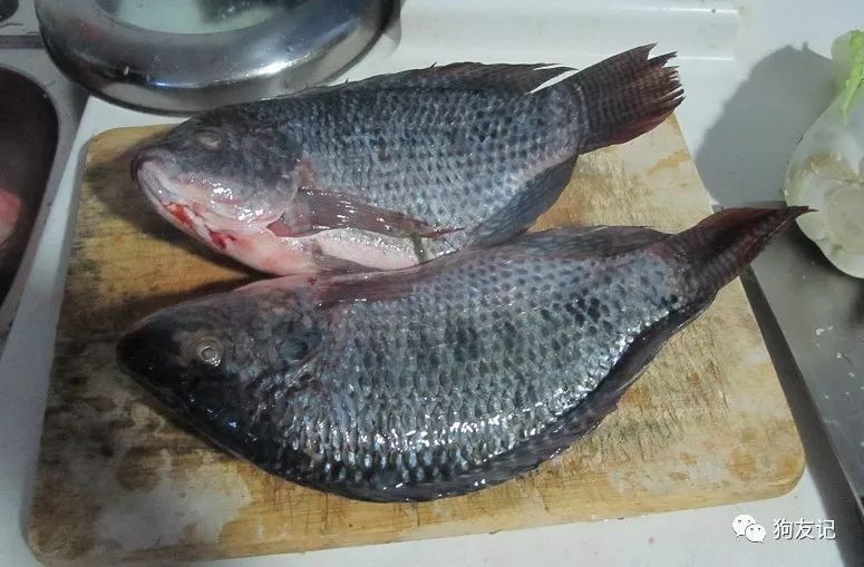 狗狗微量元素哪个牌子好(犬用微量元素品牌推荐)-硒宝网