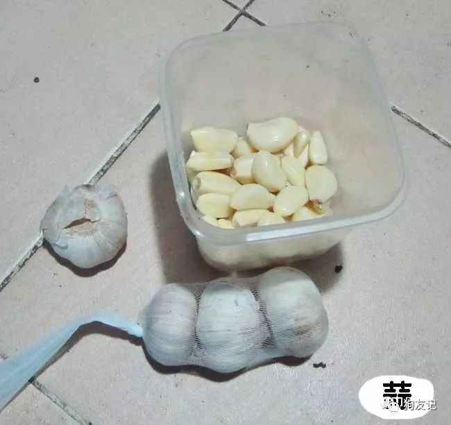 狗狗微量元素哪个牌子好(犬用微量元素品牌推荐)-硒宝网