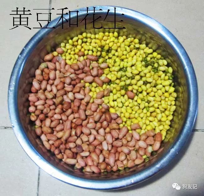 狗狗微量元素哪个牌子好(犬用微量元素品牌推荐)-硒宝网