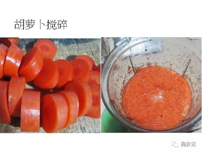 狗狗微量元素哪个牌子好(犬用微量元素品牌推荐)-硒宝网