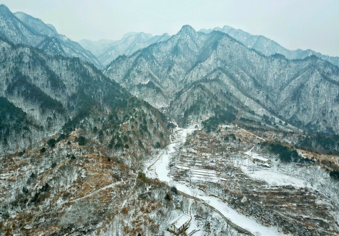 安康富硒茶名气大不大(安康富硒茶主要产自哪里)-硒宝网