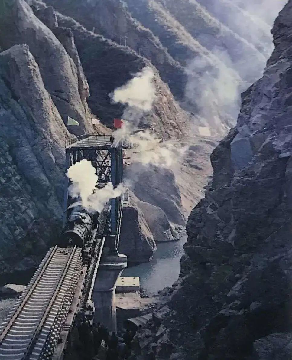 安康富硒茶名气大不大(安康富硒茶主要产自哪里)-硒宝网