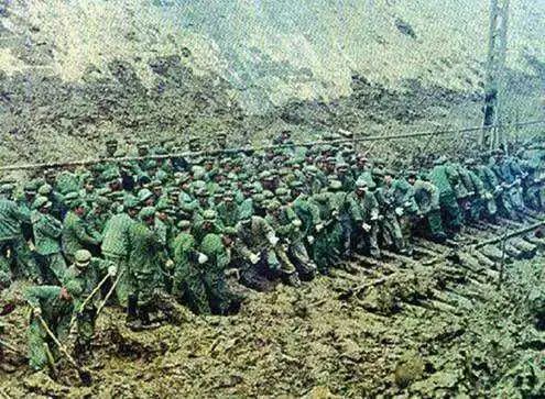 安康富硒茶名气大不大(安康富硒茶主要产自哪里)-硒宝网