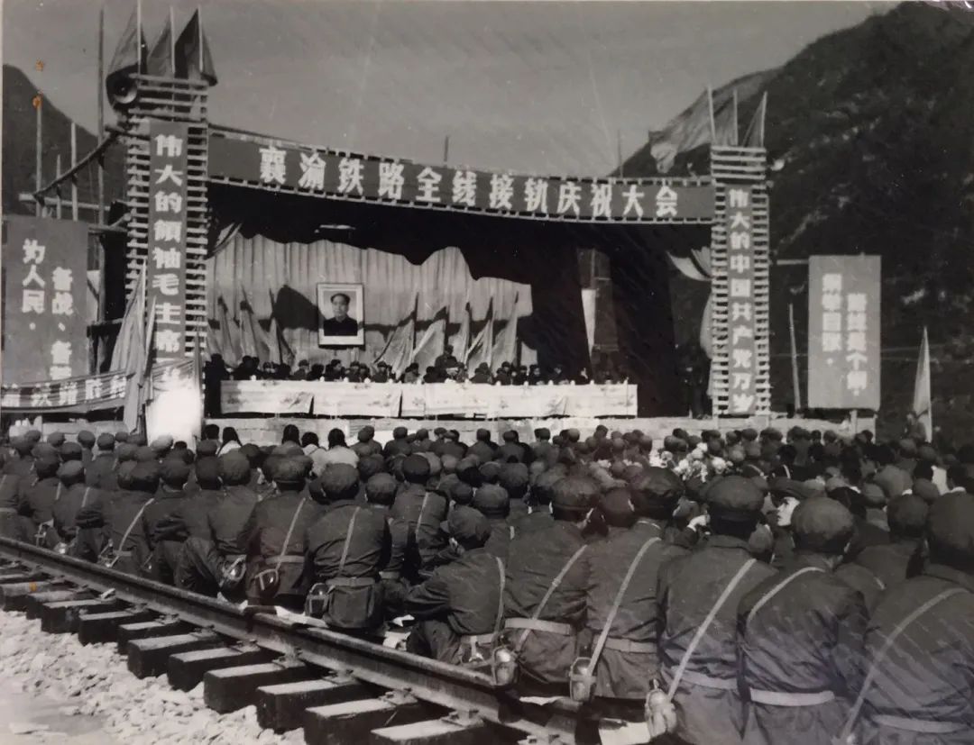 安康富硒茶名气大不大(安康富硒茶主要产自哪里)-硒宝网