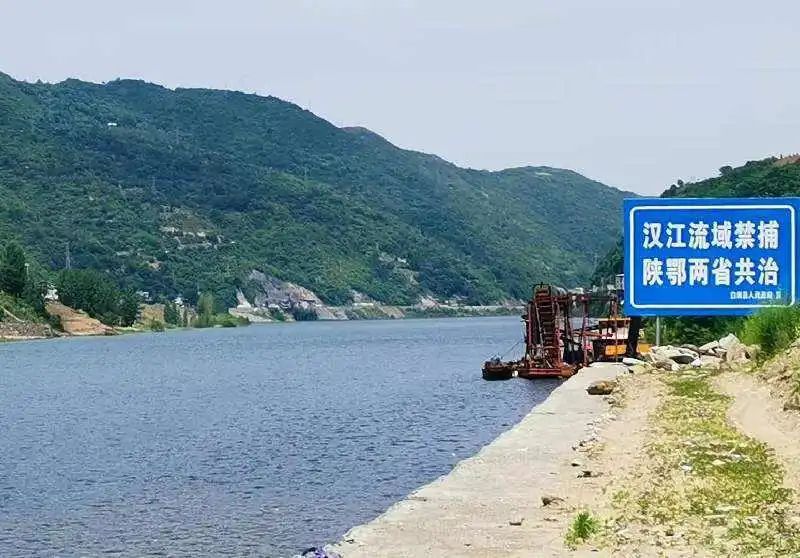 安康富硒茶名气大不大(安康富硒茶主要产自哪里)-硒宝网