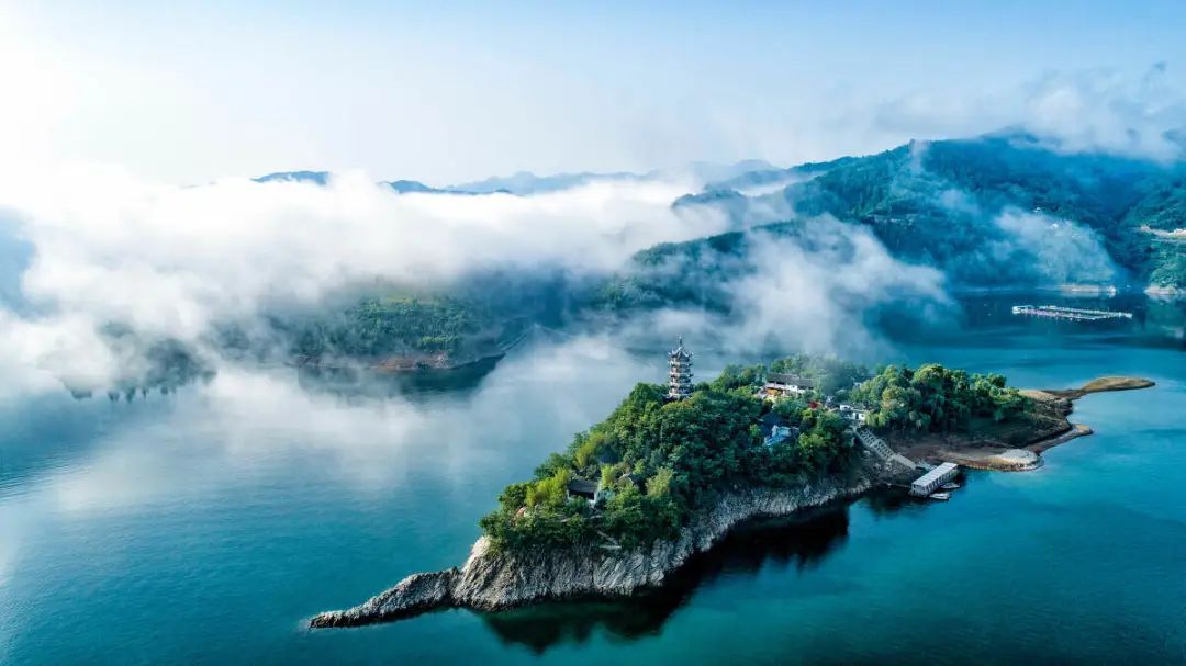 安康富硒茶名气大不大(安康富硒茶主要产自哪里)-硒宝网