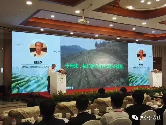 贵州哪些地方产富硒茶（贵州富硒茶多少钱一斤）-硒宝网