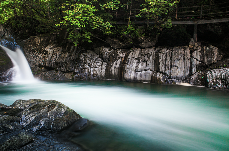 安康富硒茶名气大不大(安康富硒茶属于什么茶)-硒宝网