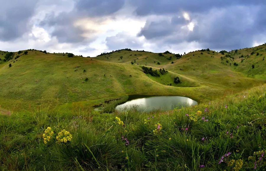 安康富硒茶名气大不大(安康富硒茶属于什么茶)-硒宝网